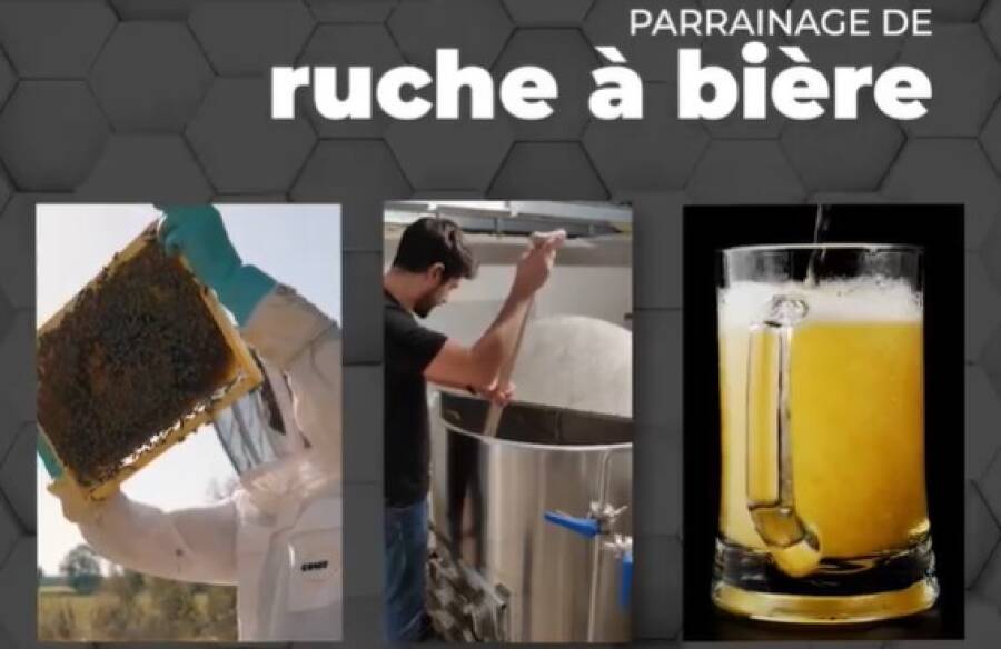 ruche_a_biere